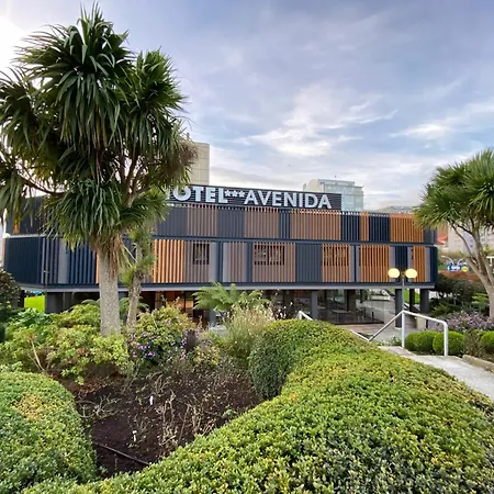 Avenida Lofts *