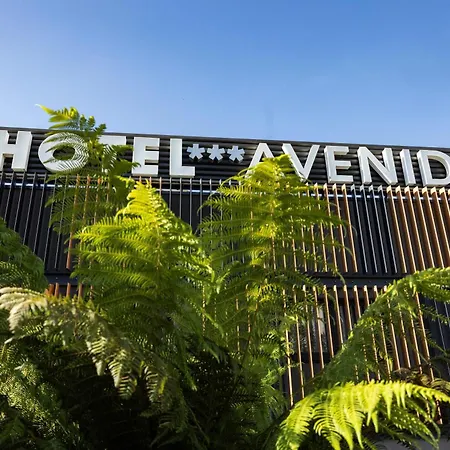 Апартаменты Avenida Lofts